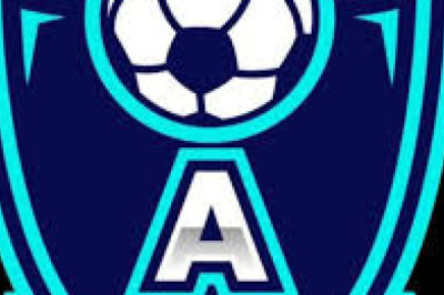 Log APOLO GOL Stakes 10